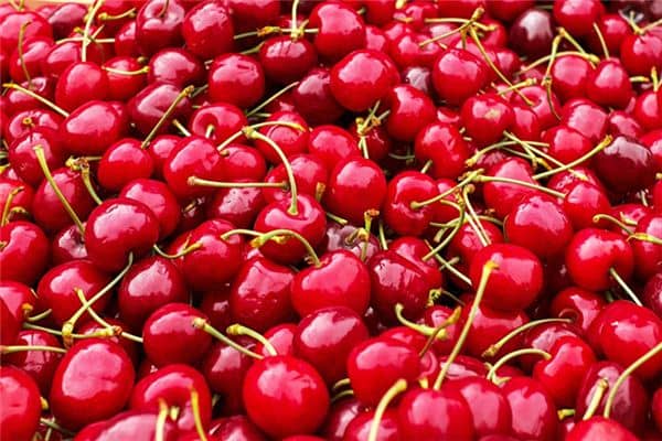 梦见吃樱桃是什么意思 梦见吃樱桃是什么意思