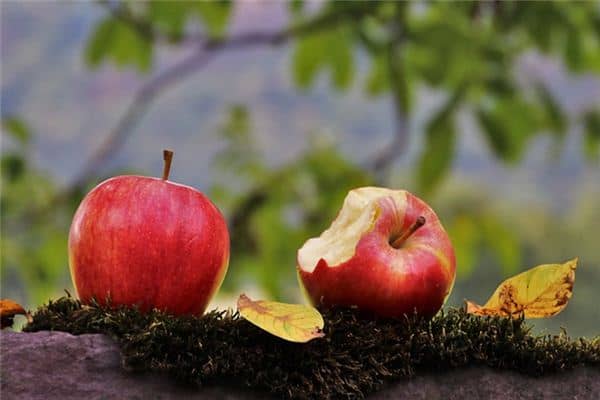 梦见吃苹果是什么预兆 梦见吃苹果是什么预兆