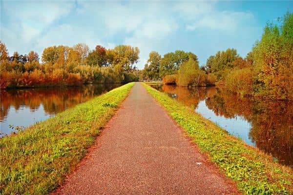 梦见掉沟里是什么意思 梦见掉沟里是什么意思