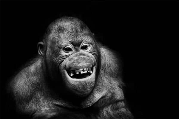 梦见上牙掉是什么意思 梦见上牙掉是什么意思