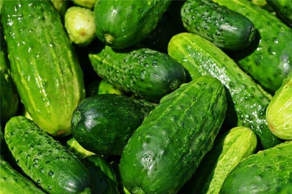 梦见吃黄瓜是什么预兆 梦见吃黄瓜是什么预兆