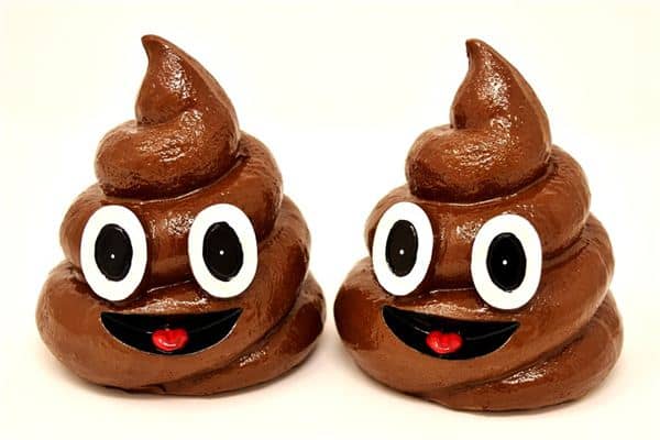 梦见掉屎坑是什么意思 梦见掉屎坑是什么意思