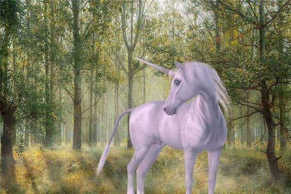 梦见独角兽是什么预兆 梦见独角兽是什么预兆