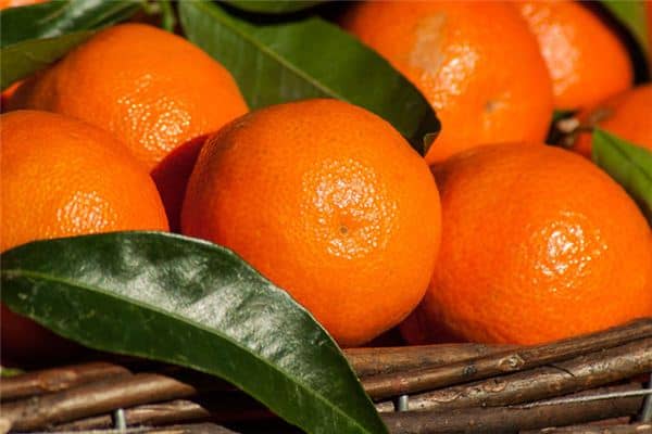 梦见吃桔子是什么预兆 梦见吃桔子是什么预兆