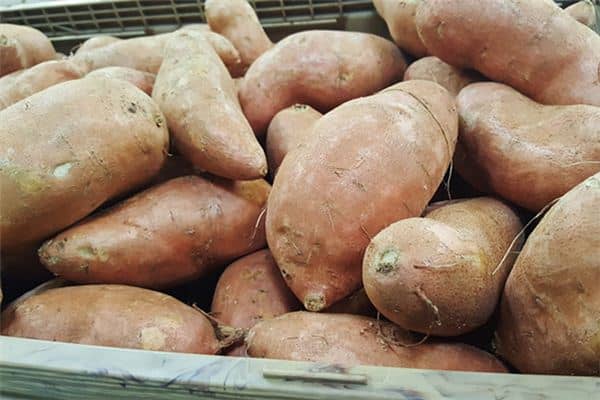 梦见红薯藤是什么意思 梦见红薯藤是什么意思