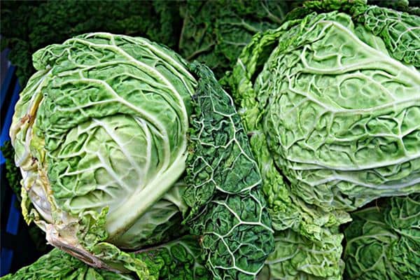 梦见大白菜是什么预兆 梦见大白菜是什么预兆