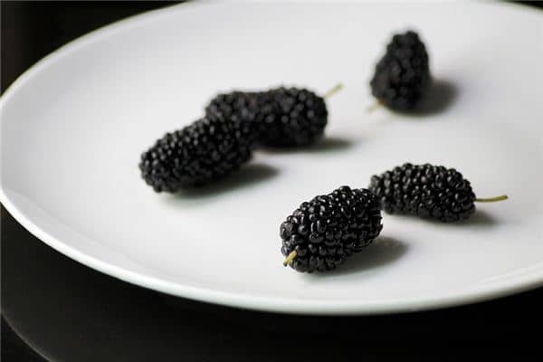 梦见吃桑葚是什么预兆 梦见吃桑葚是什么预兆