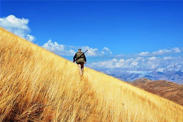 梦见爬陡坡是什么意思 梦见爬陡坡是什么意思