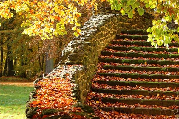 梦见下台阶是什么意思 梦见下台阶是什么意思