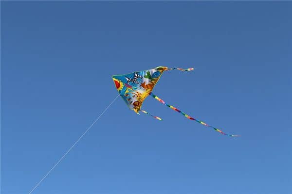 梦见放风筝是什么预兆 梦见放风筝是什么预兆