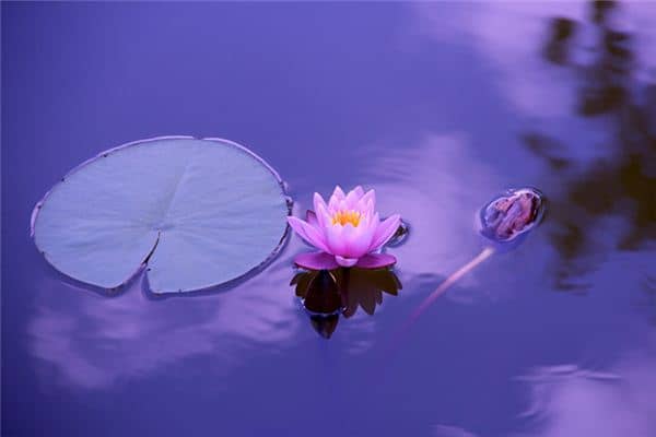 梦见拾东西是什么意思 梦见拾东西是什么意思