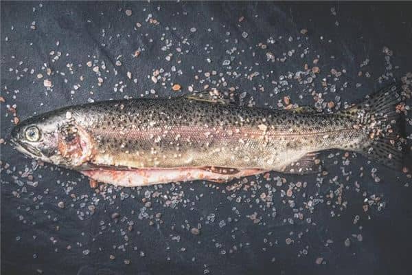 梦见捡到鱼是什么意思 梦见捡到鱼是什么意思