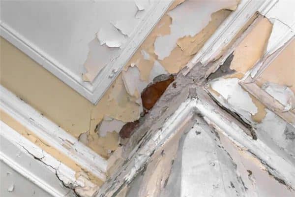 梦到屋子漏雨 梦到屋子漏雨