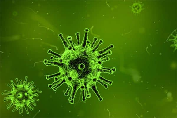 梦见脏东西是什么预兆 梦见脏东西是什么预兆