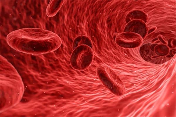 梦见孕妇血是什么意思 梦见孕妇血是什么意思