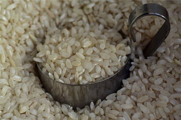 梦见米生虫是什么意思 梦见米生虫是什么意思