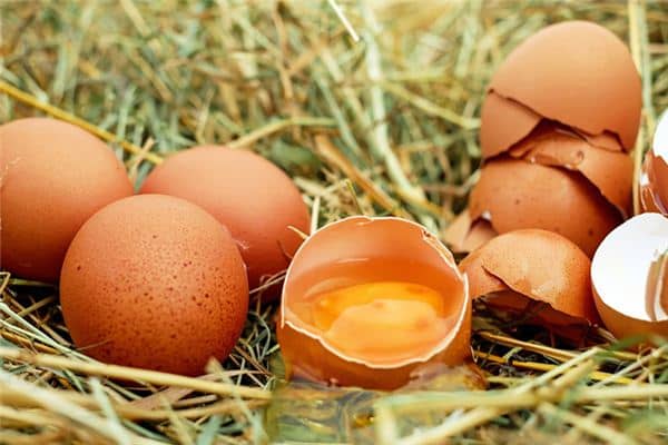 梦见鸡蛋黄是什么意思 梦见鸡蛋黄是什么意思