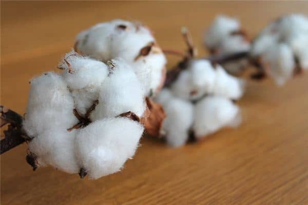 梦见弹棉花是什么意思 梦见弹棉花是什么意思