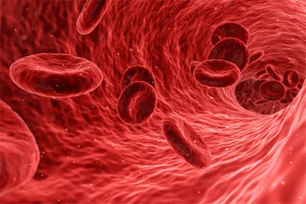 梦见白血病是什么预兆 梦见白血病是什么预兆