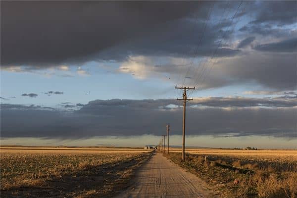 梦见电线杆是什么预兆 梦见电线杆是什么预兆