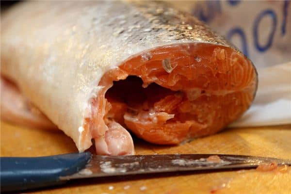 梦见吃生鱼是什么预兆 梦见吃生鱼是什么预兆