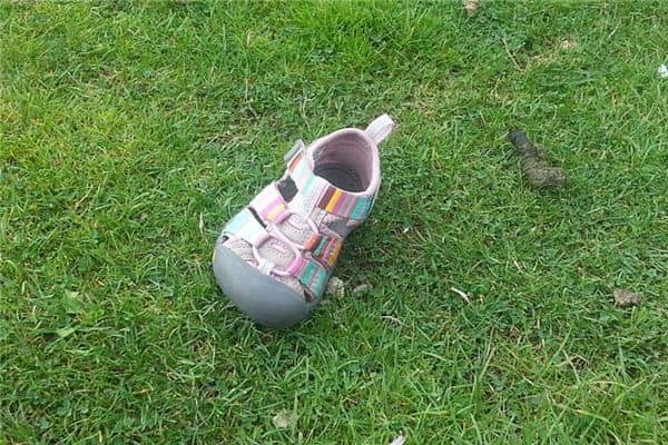 梦见丢东西是什么预兆