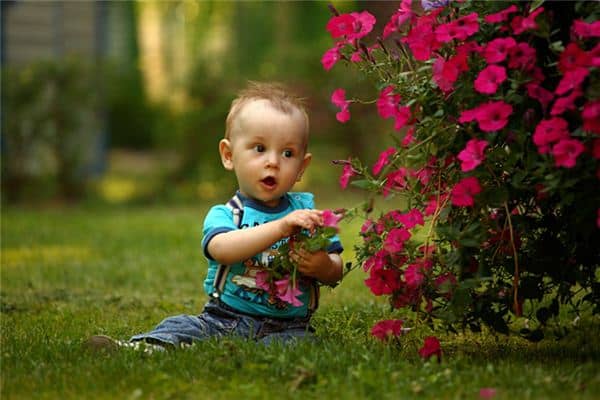 梦见抢孩子是什么意思 梦见抢孩子是什么意思