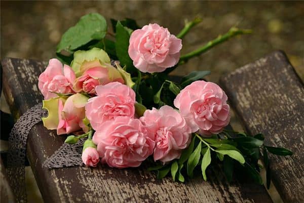 梦见粉红色是什么预兆 梦见粉红色是什么预兆