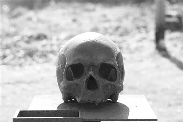 梦见死人头是什么预兆 梦见死人头是什么预兆