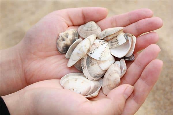 梦见手脱皮是什么预兆 梦见手脱皮是什么预兆