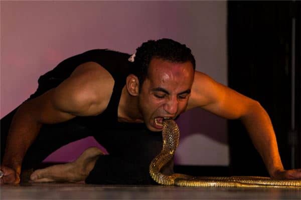 梦见毒蛇咬我是什么意思 梦见毒蛇咬我是什么意思