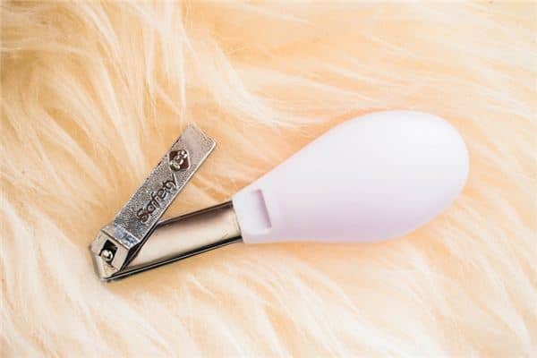 梦见指甲刀是什么意思 梦见指甲刀是什么意思