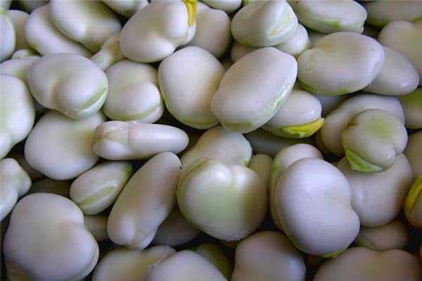 梦见吃蚕豆是什么意思 梦见吃蚕豆是什么意思