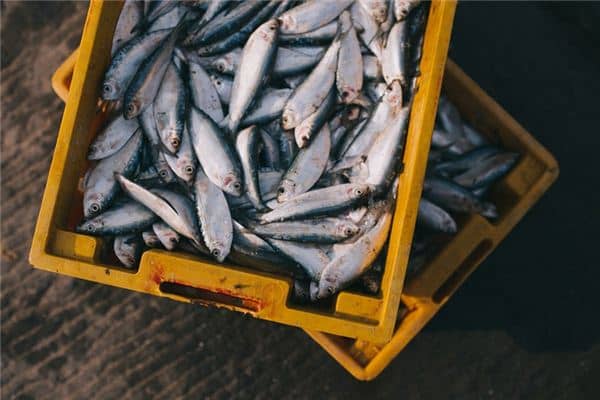 梦见买海鲜是什么意思 梦见买海鲜是什么意思