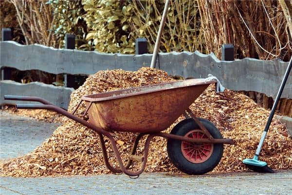 梦见手推车是什么预兆 梦见手推车是什么预兆