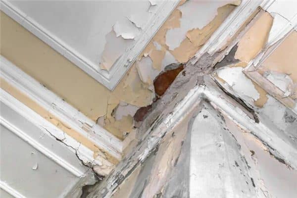 梦见房子漏了是什么意思 梦见房子漏了是什么意思