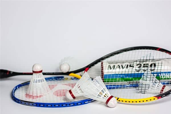 梦见羽毛球是什么预兆 梦见羽毛球是什么预兆