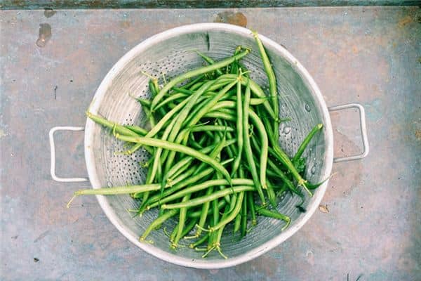 梦见四季豆是什么意思 梦见四季豆是什么意思