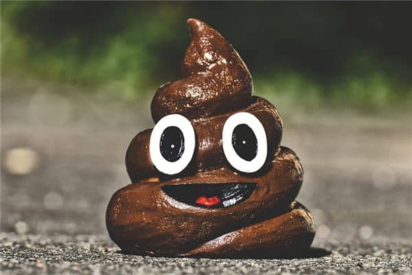 梦见屎粘身是什么意思 梦见屎粘身是什么意思