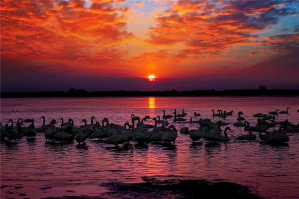 梦见火烧云是什么意思 梦见火烧云是什么意思