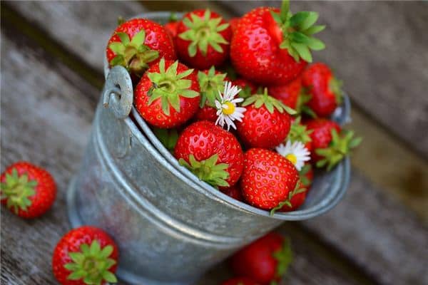 梦见吃水果是什么预兆