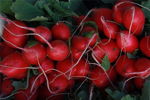 梦见水萝卜是什么意思 梦见水萝卜是什么意思