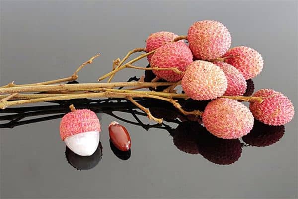 梦见摘荔枝是什么意思 梦见摘荔枝是什么意思