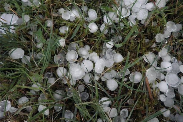 梦见下冰雹特别的大