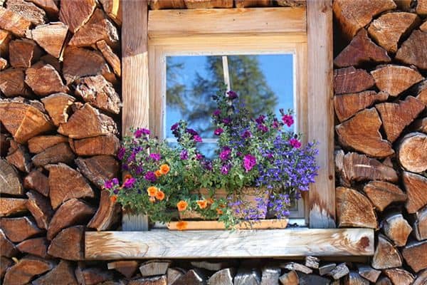 梦见好多盆花是什么意思 梦见好多盆花是什么意思