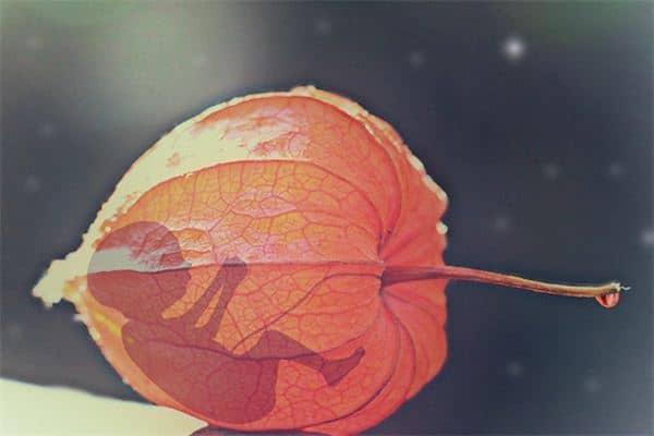 梦见朋友流产是什么意思 梦见朋友流产是什么意思