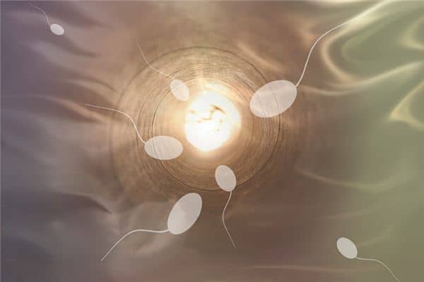 梦见精子是啊是什么意思 梦见精子是啊是什么意思