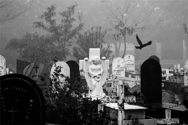 梦见很多坟墓是什么预兆 梦见很多坟墓是什么预兆