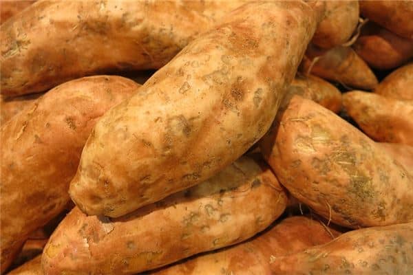 梦见割红薯藤是什么意思 梦见割红薯藤是什么意思