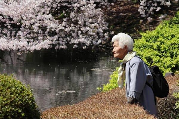 梦见老人被撞是什么意思 梦见老人被撞是什么意思